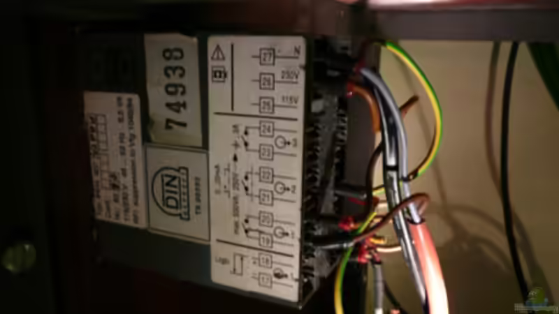 Technik im Aquarium Malawi von Cichlid Power (39)