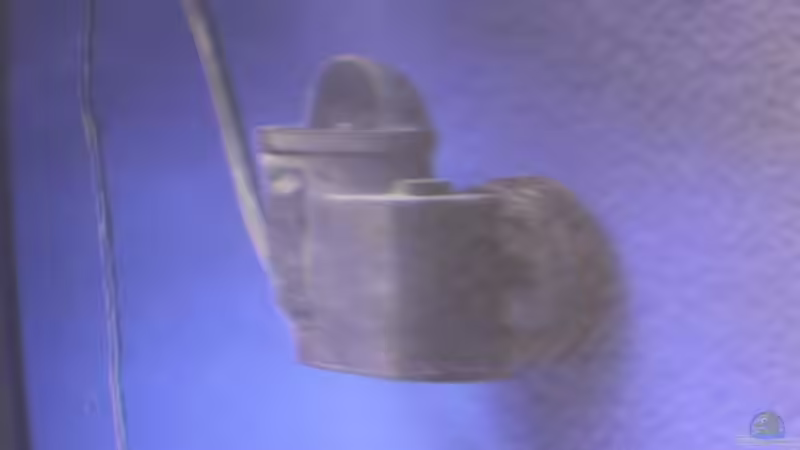 Technik im Aquarium Malawi von Frank von Franky Malawi (4)