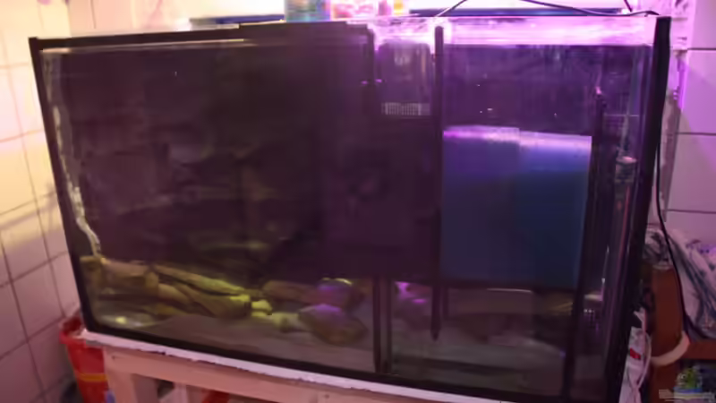 Technik im Aquarium Malawi von Sascha Vienerius (8)