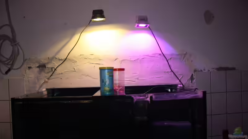 Technik im Aquarium Malawi von Sascha Vienerius (9)