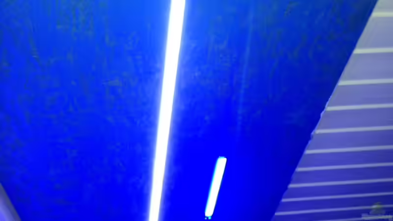 Technik im Aquarium Malawi von tobsen (6)