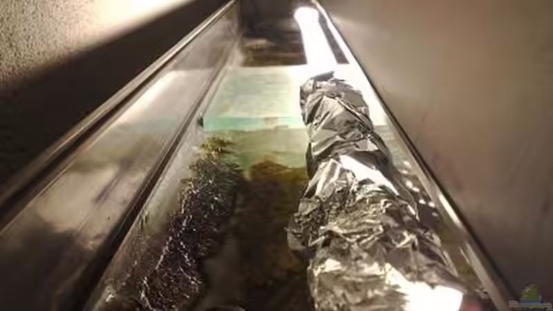 Technik im Aquarium Malawi Wohnzimmer (aufgelöst) von Zigermandli (23)