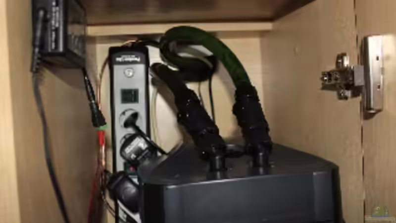 Technik im Aquarium Malawibecken von Borg (18)