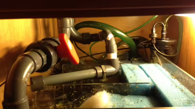 Technik im Aquarium Manaus Unterholz von Thomas Schneider (5)