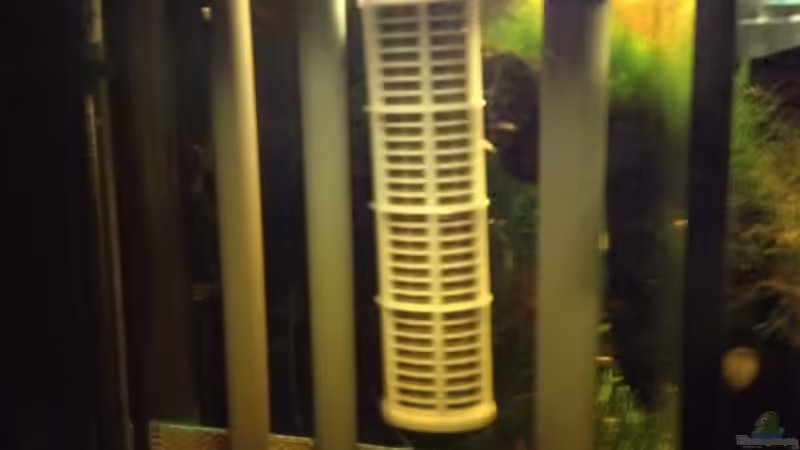 Technik im Aquarium Manaus Unterholz von Thomas Schneider (6)