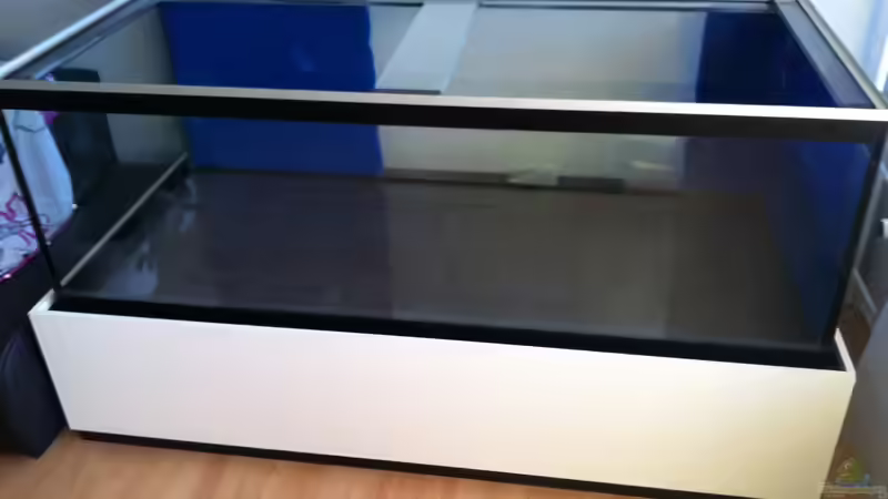 Technik im Aquarium Mbuna meets Basalt von Andriko (12)