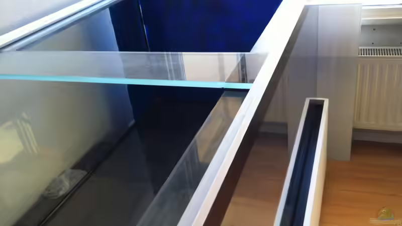 Technik im Aquarium Mbuna meets Basalt von Andriko (13)