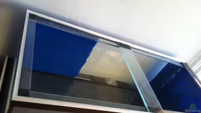 Technik im Aquarium Mbuna meets Basalt von Andriko (15)