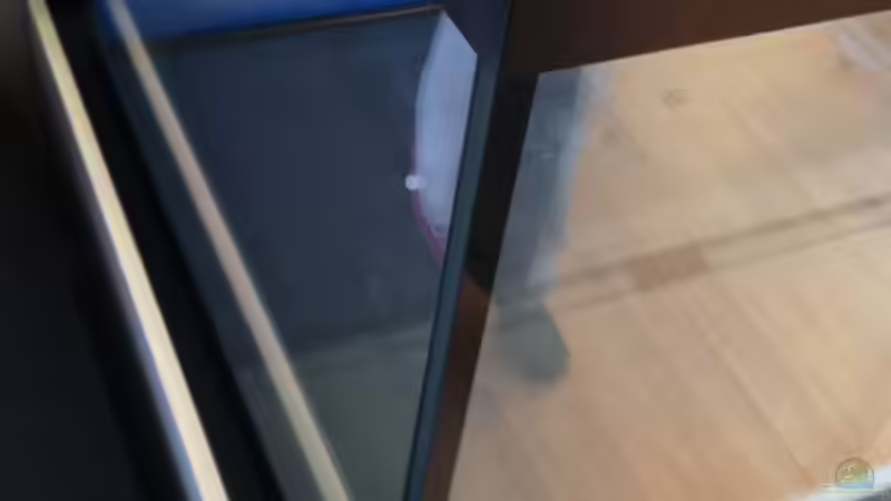 Technik im Aquarium Mbuna meets Basalt von Andriko (16)