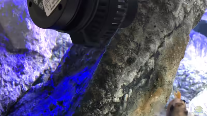 Technik im Aquarium Mbuna Mumbo Island by Lukas von LukW124 (16)