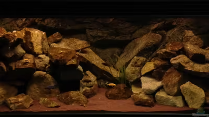 Technik im Aquarium Mbuna Rocks von Green Zebra (10)