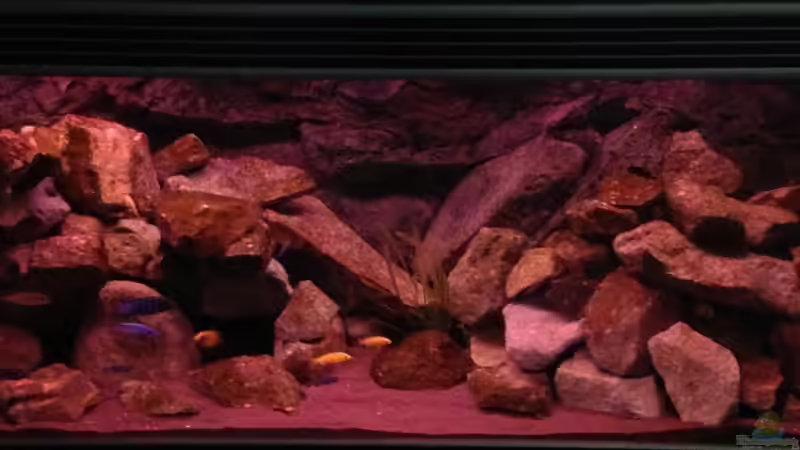 Technik im Aquarium Mbuna Rocks von Green Zebra (7)
