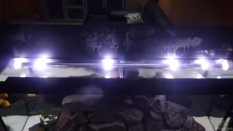 Technik im Aquarium Mbunas rocks `n caves von Sebastian K. (10)