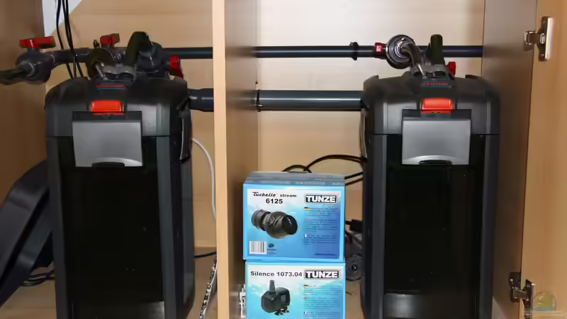 Technik im Aquarium Mbunas Traum von Dirkan (12)