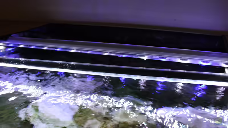 Technik im Aquarium Mbunas Traum von Dirkan (14)