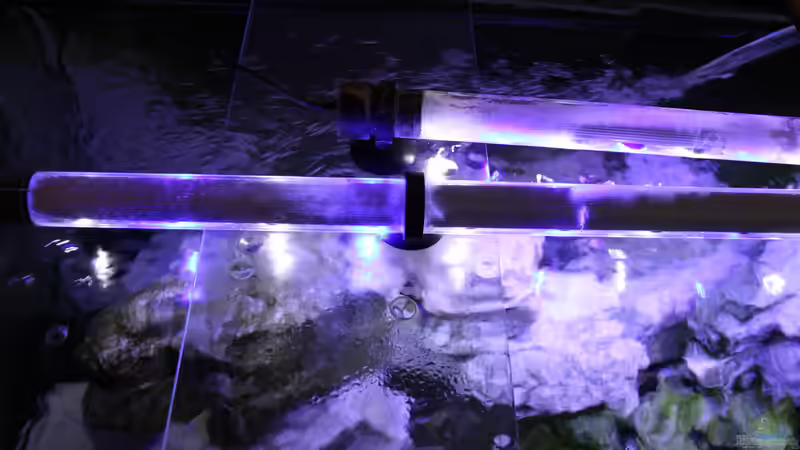 Technik im Aquarium Mbunas Traum von Dirkan (15)