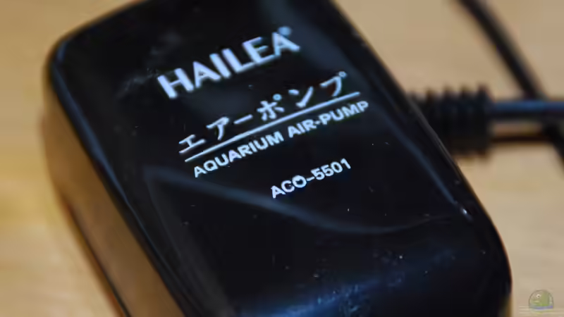 Technik im Aquarium Me equivocaria otra vez von lomarraco (36)