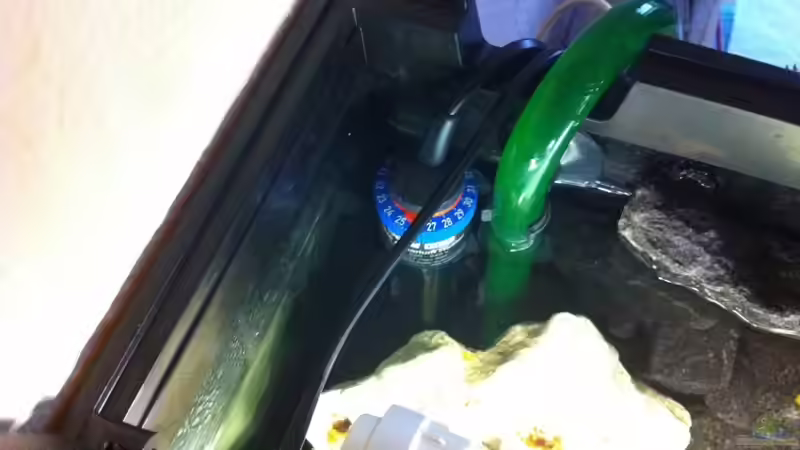 Technik im Aquarium Meckel´s Malawi Tank von Meckel (22)