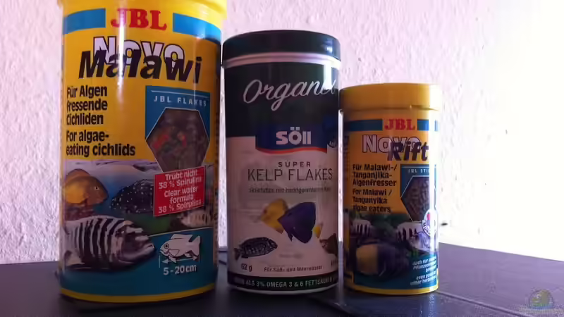 Technik im Aquarium Meckel´s Malawi Tank von Meckel (23)