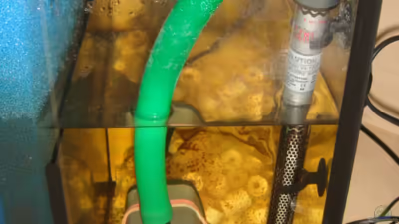 Technik im Aquarium Meerwasseer Achteckbecken als Raumteiler von Wallenstein (7)