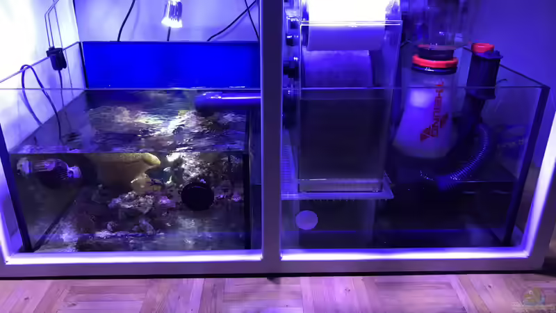 Technik im Aquarium Meerwasser Korallenriff von Michael Schmidt (4)