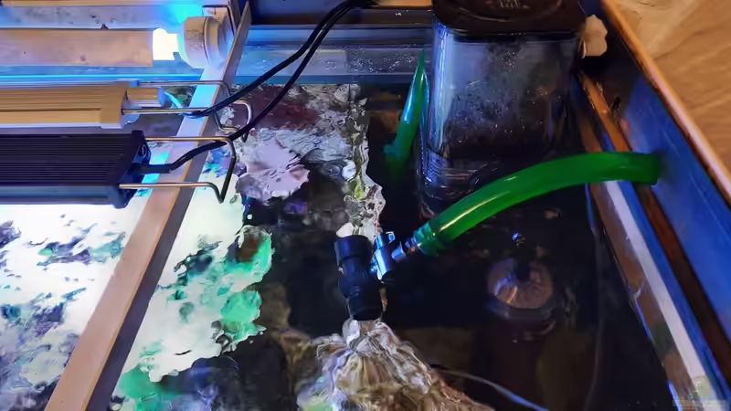 Technik im Aquarium Meerwasseraquarium von carkl (10)