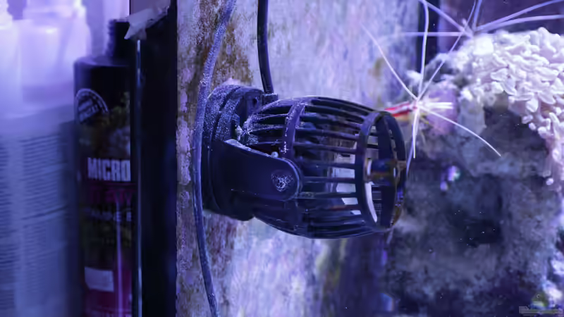 Technik im Aquarium Meerwasseraquarium von Hippi013 (51)