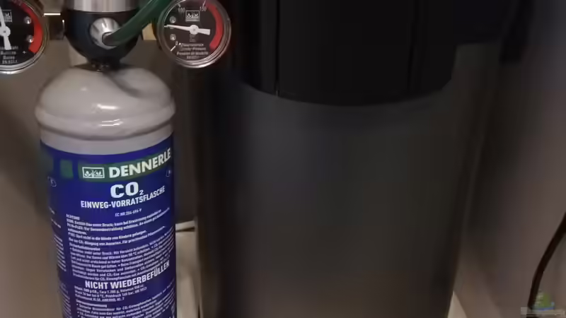 Technik im Aquarium Mein 1.Aquarium von Sabrina_St (11)