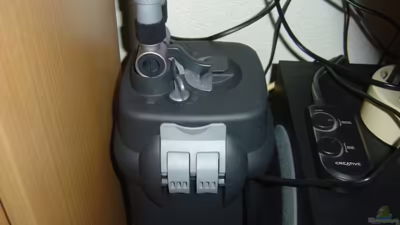 Technik im Aquarium mein 1.Becken von Fohlenpower (8)