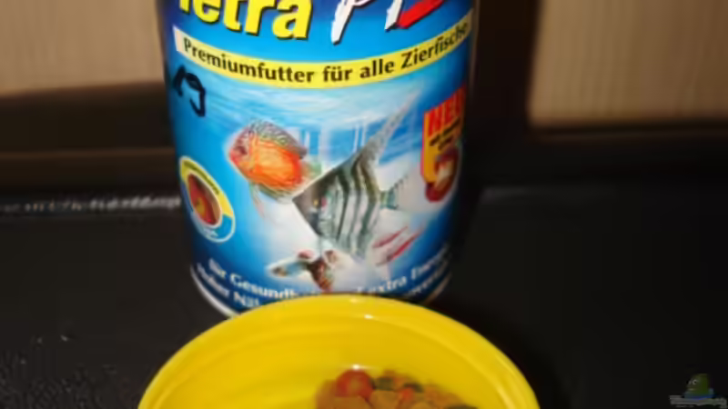 Technik im Aquarium Mein 200l Hauptbecken von Lukas Szewczyk (23)