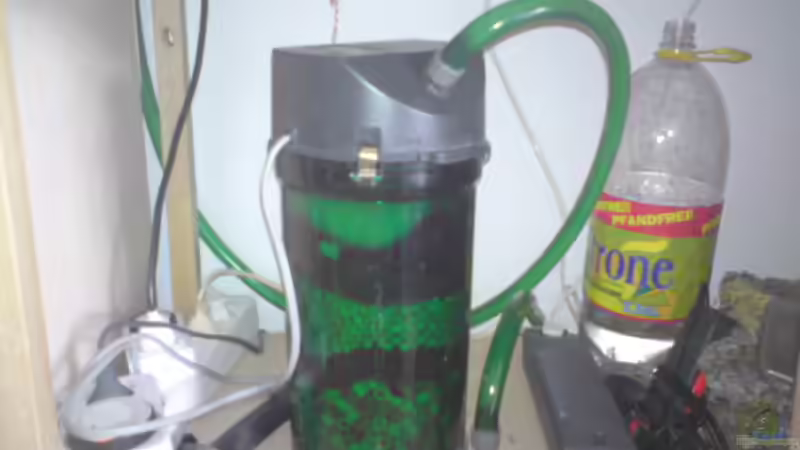 Technik im Aquarium Mein Becken von Skalar-fan (3)