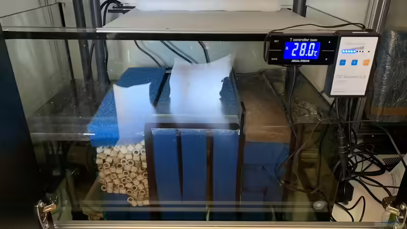 Technik im Aquarium Mein Discustraum von AquaAndy (6)