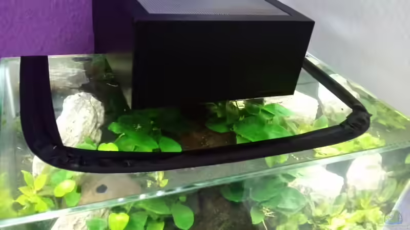 Technik im Aquarium Mein erstes Nano von Fischflüsterer (7)