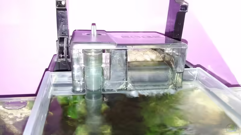 Technik im Aquarium Mein erstes Nano von Fischflüsterer (9)