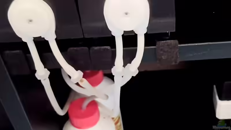 Technik im Aquarium mein kleines Amazonas Scape von odin 68 (158)