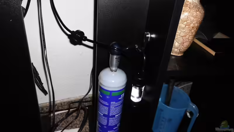 Technik im Aquarium mein kleines Asien Becken von odin 68 (108)