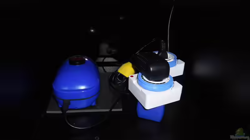 Technik im Aquarium mein kleines Asien Becken von odin 68 (112)