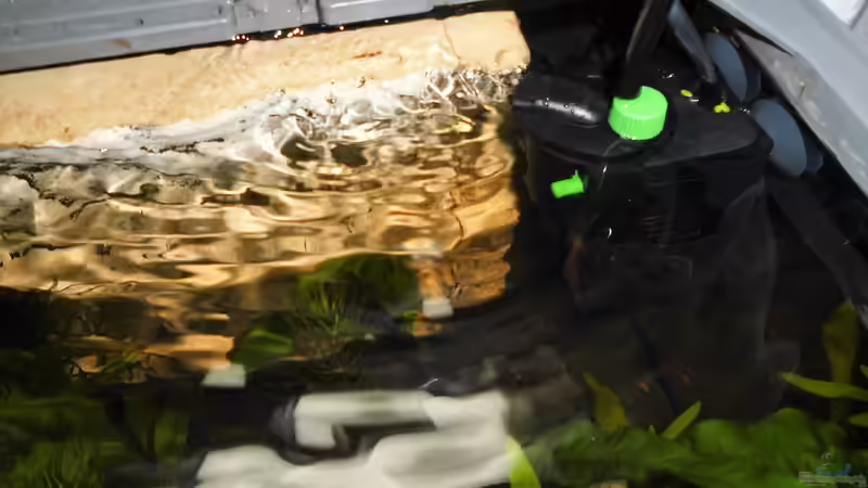 Technik im Aquarium mein kleines Garnelen Becken (aufgelöst) von odin 68 (58)