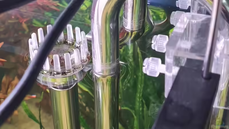 Technik im Aquarium Mein liebster 270 Liter Bauklotz ! von Dirk Korsten (9)