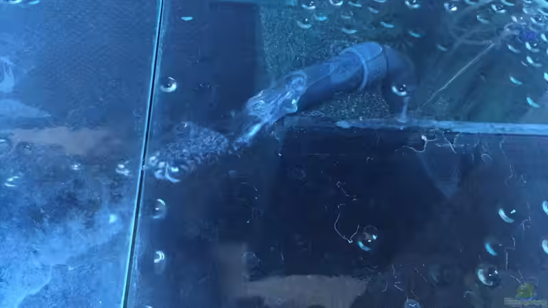 Technik im Aquarium Mein Malawi von Milan1986 (4)