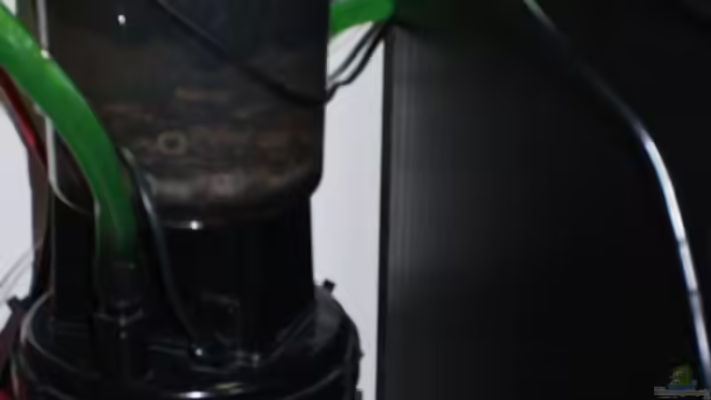 Technik im Aquarium Mein Schatz von AndyK (10)