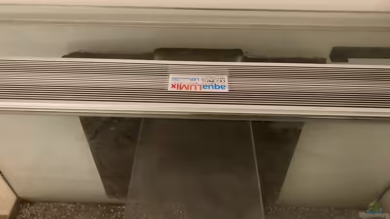 Technik im Aquarium Mein schönes Afrika - Becken 37107 von Helga Kury (11)