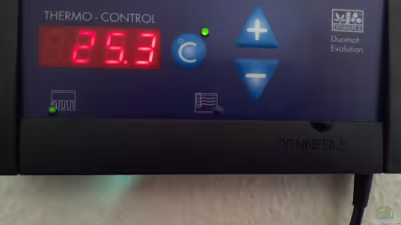 Technik im Aquarium Mein Südamerika von David Kussmann (6)