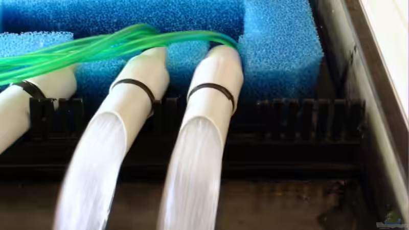 Technik im Aquarium Mein Tanganjika (nur noch als Beispiel) von stonis-home (22)