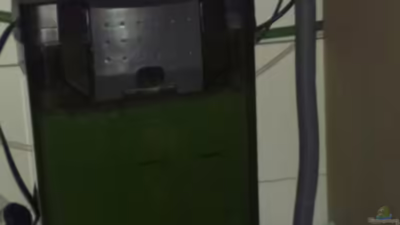 Technik im Aquarium meine kleene Pfütze von Dorfi34 (6)