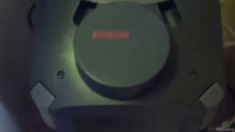 Technik im Aquarium meine kleene Pfütze von Dorfi34 (7)