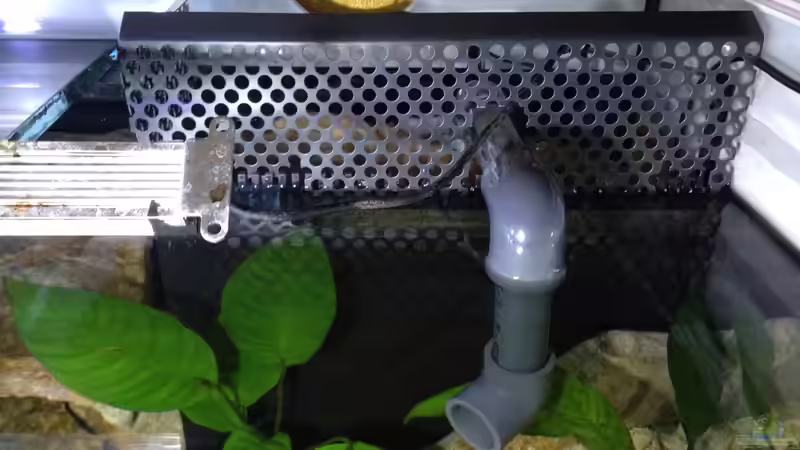 Technik im Aquarium meine Ruheoase ( nur noch als Beispiel ) von Martina (22)