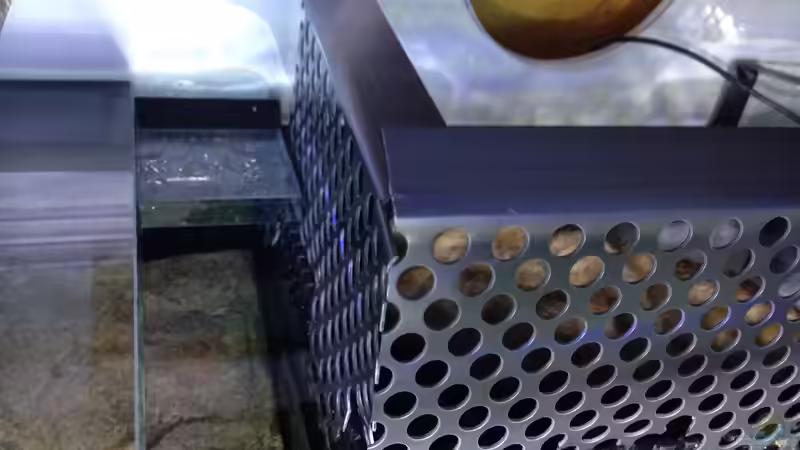 Technik im Aquarium meine Ruheoase ( nur noch als Beispiel ) von Martina (23)