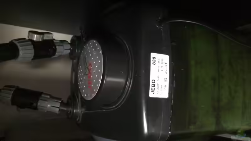 Technik im Aquarium Merlins Tanganjika Traum von Arielle (12)