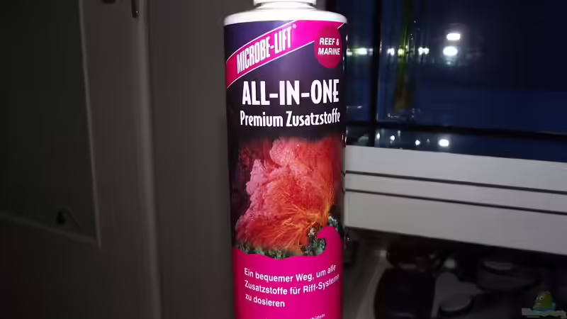 Technik im Aquarium Midi-Cube Meerwasser von Dr. Manhattan (17)